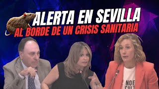 SUSANA HORNILLO ALERTA quotSEVILLA ESTÁ AL BORDE DE UNA CRISIS SANITARIA POR INVASIÓN DE RATASquot [upl. by Eninnaj]