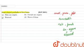 Heart shaped prothallus of ferm bears  11  PLANT KINGDOM  BIOLOGY  ERRORLESS  Doubtnut [upl. by Ahtamas683]