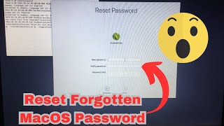 Quick Fix Reset Forgotten MacBook Password [upl. by Nilre]