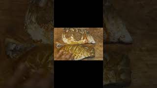 Tandori grilled fish 🐟 recipe  best food house food fish [upl. by Eruot]