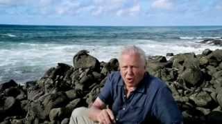 Galápagos with David Attenborough [upl. by Forcier752]