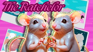 I proposed to a rat and were in love itchio datingsimulator [upl. by Addis963]