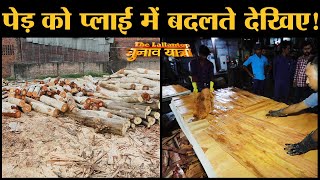 Making of Plywood देखिए Asia No 1 Ply Wood Industry Yamunanagar में  Haryana  Wood  Rajat Sain [upl. by Aramat]