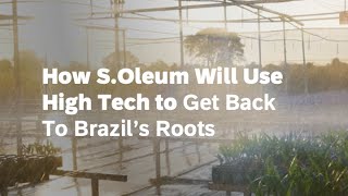 How SOleum Will Use High Tech to Get Back to Brazil’s Roots [upl. by Othella]