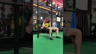 Single Arm Inverted Row Lowers [upl. by Mukund935]