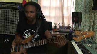 Bob Marley  Crisis  Bass Cover [upl. by Eenalem]