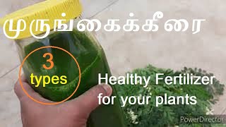 Murugai keerai fertilizer for plants in Tamil।।Organic fertilizer।। Liquid fertilizer Tamil [upl. by Oilenroc]