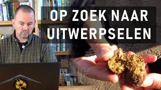 Uitwerpselen van dieren zoeken [upl. by Dinerman68]