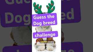 🐾 Guess the Dog Breed Challenge DogQuiz guess guessinggame guessing doglovers [upl. by Stearns]