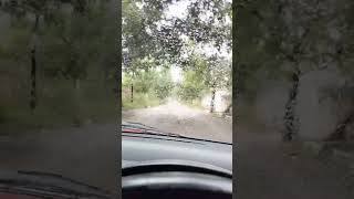 Beevi 😀 youtubeshorts drive rain [upl. by Pomona]