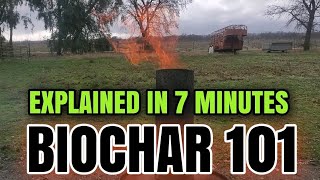 EVERYTHING YOU ever WANTED to KNOW about BIOCHAR 🔥 [upl. by Angelika]