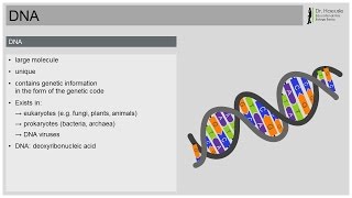 DNA  The Book of Life [upl. by Combs]