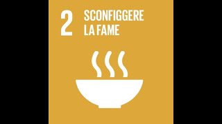 Agenda 2030 sconfiggere la fame [upl. by Cita]