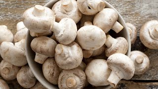 Heres How To Tell If Your Mushrooms Have Gone Bad [upl. by Josselyn473]