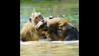 Stunning Footage Of Sovana amp Amber Having Fun By The Flooded [upl. by Akimik]