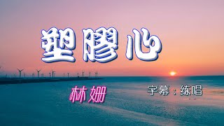 塑膠心  林姍 ☆ 好聽 練唱 「彰化伸港海景 」 [upl. by Stiruc]