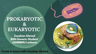 Prokaryotic amp Eukaryotic CellDifference9th class BiologySindhi LectureCome to Learn with Zeeshan [upl. by Ettennahs]