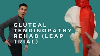 Rehab Exercises for Gluteal Tendinopathy trochanteric bursitislateral hip pain [upl. by Atinniuq]