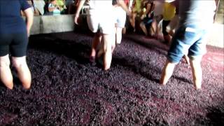 Lagarada  Pisar as uvas  Tread the grapes [upl. by Lielos]