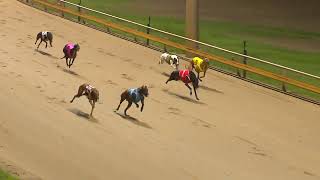 Rockhampton06112024Race12 [upl. by Werdnaed]