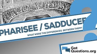 What are the differences between the Sadducees and Pharisees [upl. by Minerva]