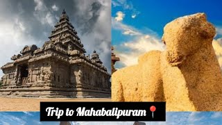 A trip to Mahabalipuram from SRM college KTK campus and experience and expenses [upl. by Llewen]