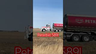 Nice Peterbilt 589 Daycab with a sixaxle super B [upl. by Ellerahs]