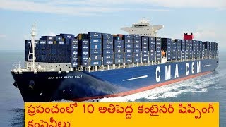 10 Largest Container Shipping Companies in the World [upl. by Danika]