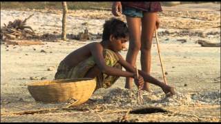 GANGES or GANGA  FLOWING INTO SUNDARBANS [upl. by Llerdnad]