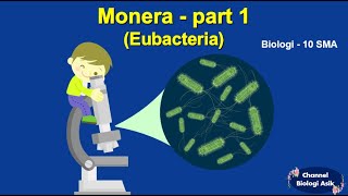 Monera part 1 Eubacteria  Biologi kelas 10 SMA [upl. by Atiuqet]