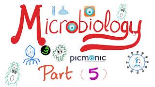 Microbiology  Bacillus anthracis Bacillus cereus Mycobacteria TB Leprosy  Picmonic  Part 5 [upl. by Alrac]