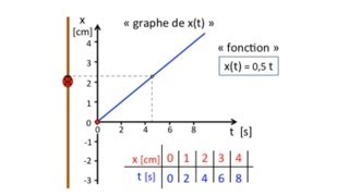 Le mouvement  fonction et graphe [upl. by Anitirhc]