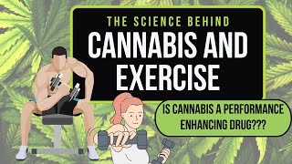 Cannabis and Exercise Understanding the science and health implications with Dr Angela Bryan [upl. by Faustus653]