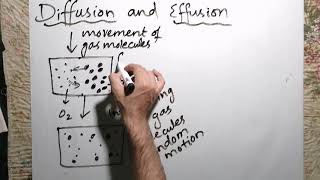 Diffusion and Effusion FSc Chemistry Part 1 Chapter 3 in Urdu [upl. by Yelkreb602]