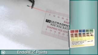 Root Canal Obturation using EndoEze EndoREZ from Ultradent [upl. by Lyn]