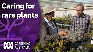 The largescale operation cultivating rare plants  Australian native plants  Gardening Australia [upl. by Neroc]