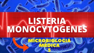 LISTERIA MONOCYTOGENES  MICROBIOLOGIA MÉDICA 5 [upl. by Clerc]