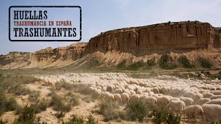 LA CAÑADA DE LOS RONCALESES trashumancia  THE TRAIL OF THE RONCALANS [upl. by Neerual]