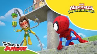 🔍 Octolaserul  Păienjenelul Marvel și prietenii lui uimitori  Disney Junior România [upl. by Nolur]