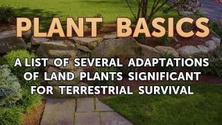 A List of Several Adaptations of Land Plants Significant for Terrestrial Survival [upl. by Nonez]