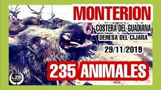 NUESTRO MEJOR VIDEO DE MONTERÍA‼️CON LZB HUNTERS MONTERIA EN LA SIERRA DEL CIJARA 235 ANIMALES [upl. by Egni]