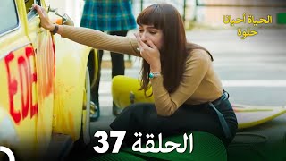 الحياة أحيانا حلوة الحلقة 37  مدبلجة بالعربية Arabic Dubbing [upl. by Handal]