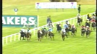 1996  Newmarket  Cesarewitch Handicap  Inchcailloch [upl. by Iroj]