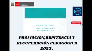 PROMOCION REPITENCIA Y RECUPERACIÓN PEDAGÓGICA 2023 [upl. by Enialahs]