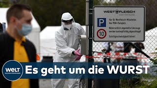 CORONAKabinett Fleischindustrie unter Druck  Regierung will Arbeitsbedingungen verbessern [upl. by Ahsrats]