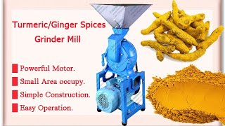 Small Turmeric grinder  Ginger Milling  Spice grinding machine  Spices powdering Video [upl. by Philipp661]