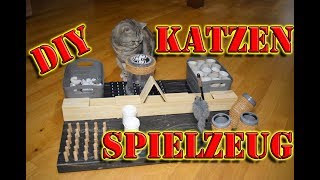 Fummelbrett für Katzen 🆗 Katzenspielzeug selber bauen Intelligenzspielzeug für Katzen selber machen [upl. by Kyre960]