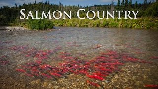 Alaska Salmon Country  Sockeye City [upl. by Eppesuig631]