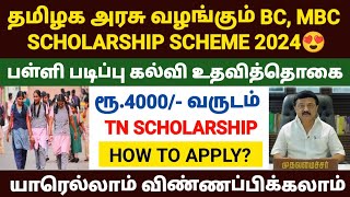 tn government scholarship 2024  bc mbc scholarship in tamilnadu 2024  tn gov scholarship 2024 [upl. by Broddie484]