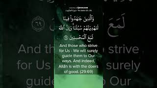 Allah SWT loves those who strives for His cause Quran 2969 [upl. by Tsui]